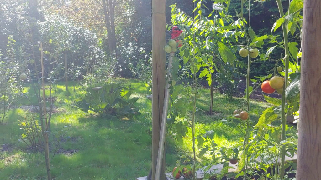 Update zu unserem Naturschutz-Projekt 1 Update zu unserem Naturschutz-Projekt 1