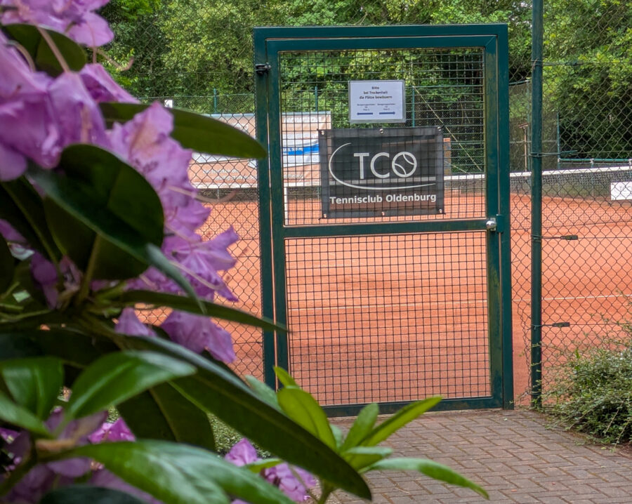 Mehr über den Artikel erfahren Sommerfest 20 Jahre TCO